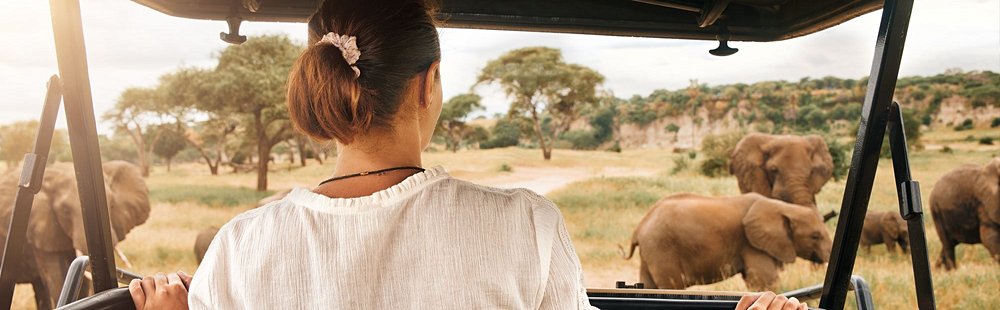 Quand visiter le Tarangire ?