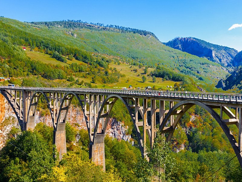 La rivière Tara