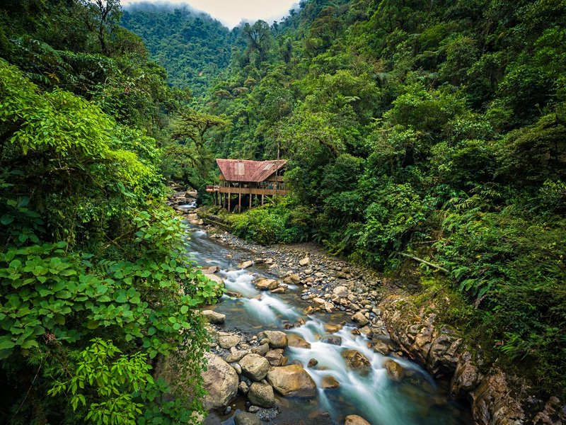 Le parc national du Manu