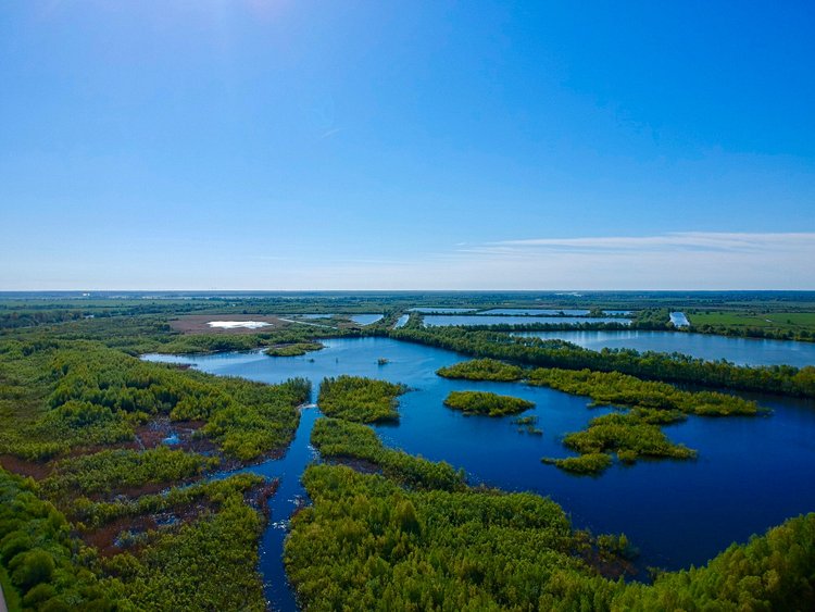 Le delta du Niémen