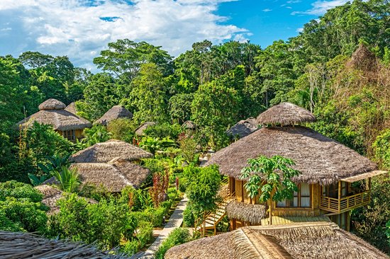 Parc national Yasuni