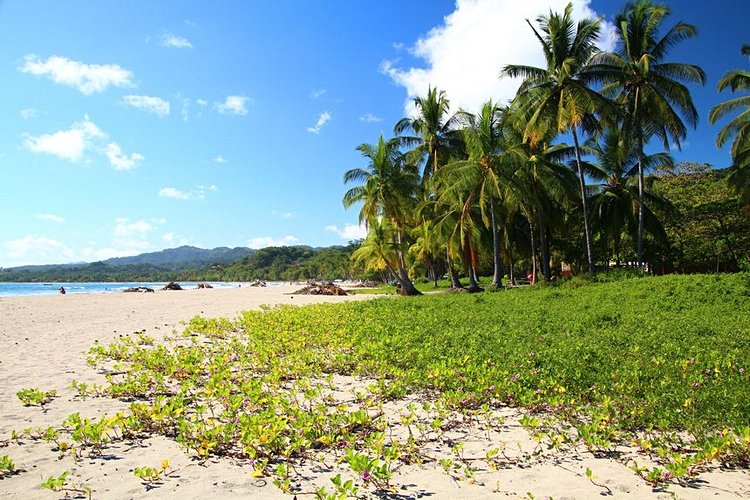 Samara et la péninsule de Nicoya