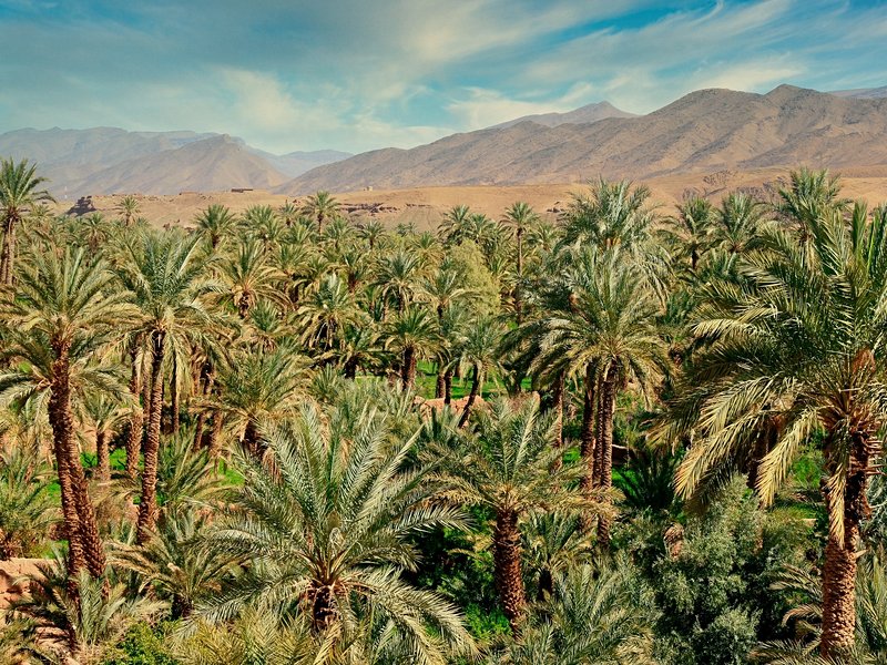 La vallée du Drâa