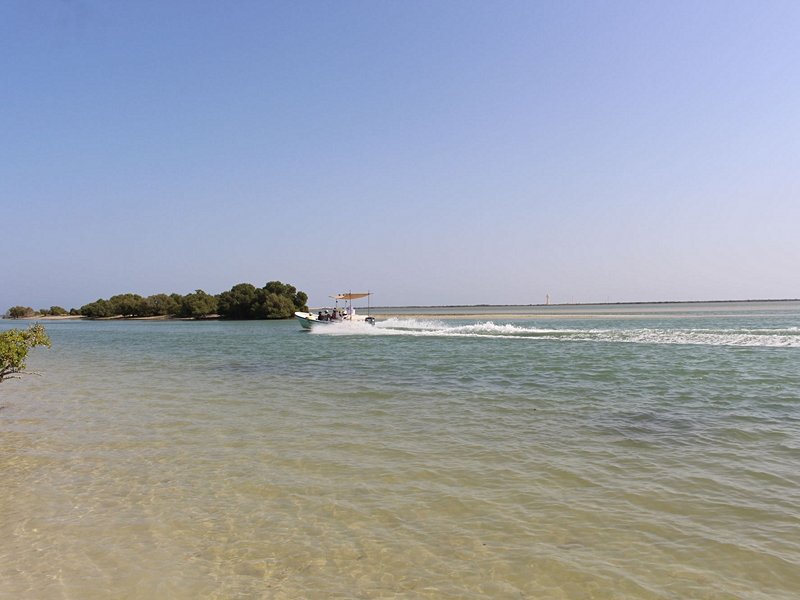 Mangroves d’Al Thakira