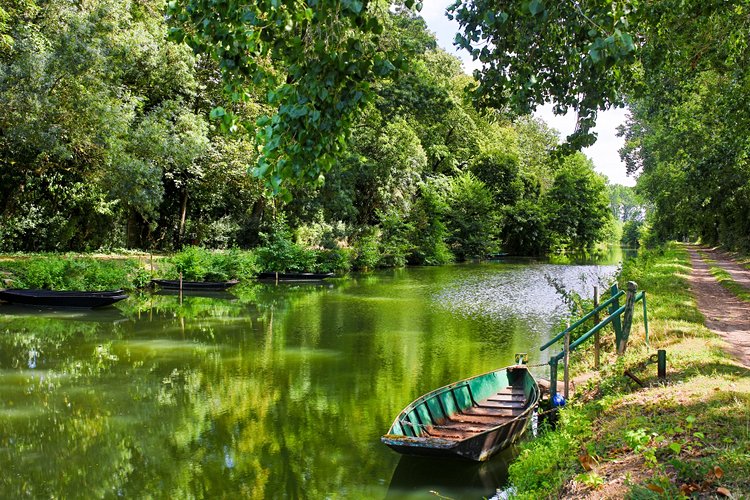 Le marais poitevin