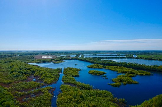 Le delta du Niémen