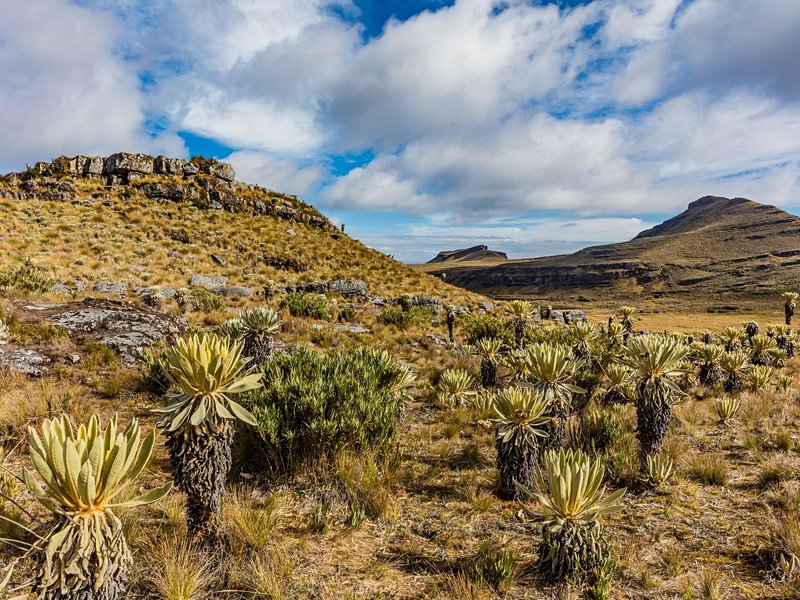 Paramo de Océta