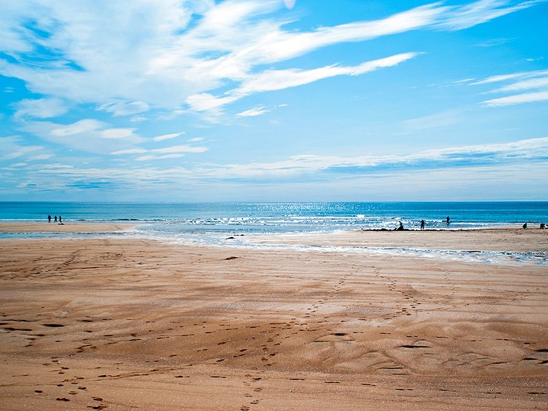 La plage de sable de Raudisandur