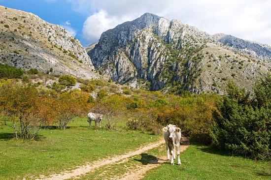 Parc naturel du Sirente Velino