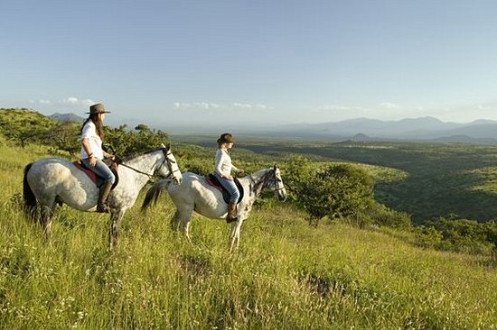 Faire une balade à cheval au milieu des animaux