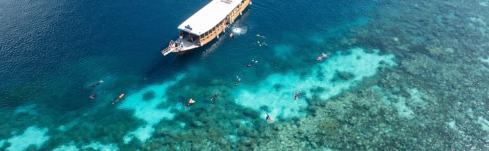 Wakatobi
