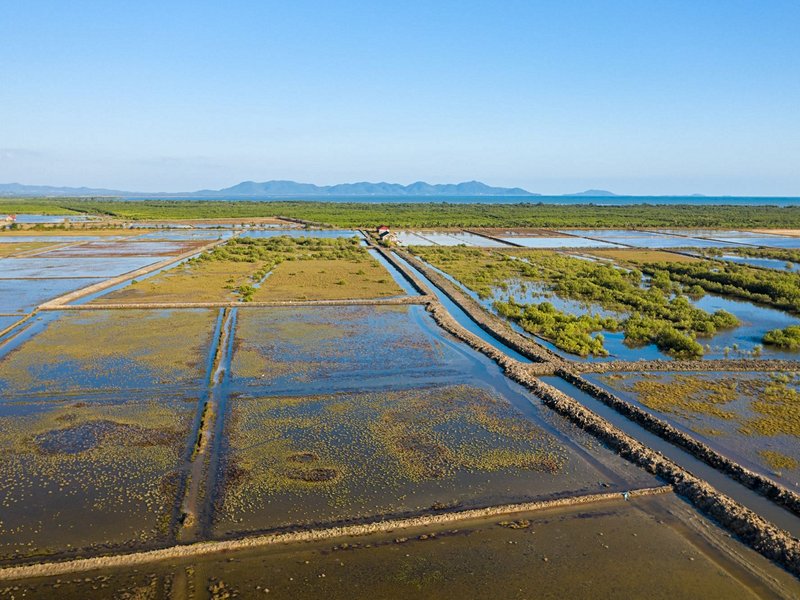 Les marais salants de Kampot