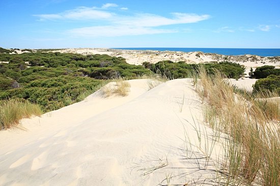 Parc national de Doñana