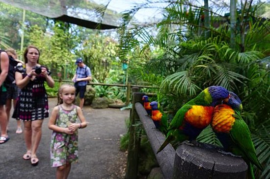 Visiter le parc des Mamelles en famille