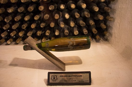 Route des vins autour de Cotnari
