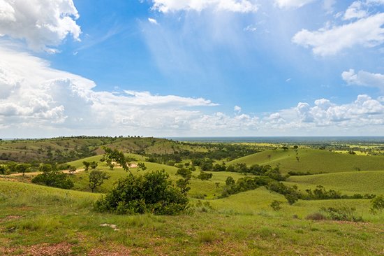 Parc national Aguaro-Guariquito