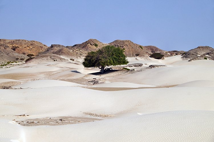 Les « dunes de sucre » d’Al Khaluf 3