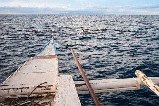 Voguer d'île en île - 