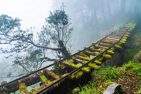 Taipingshan National Forest Recreation Area