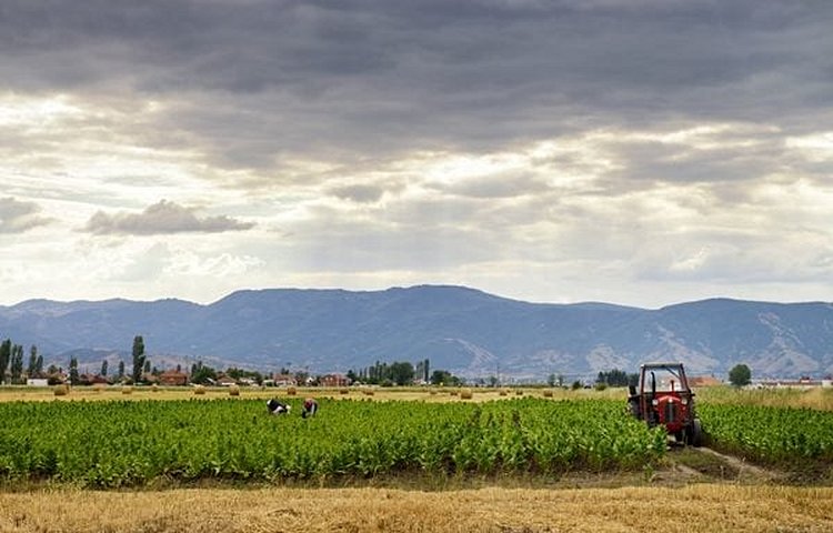 La Pelagonia