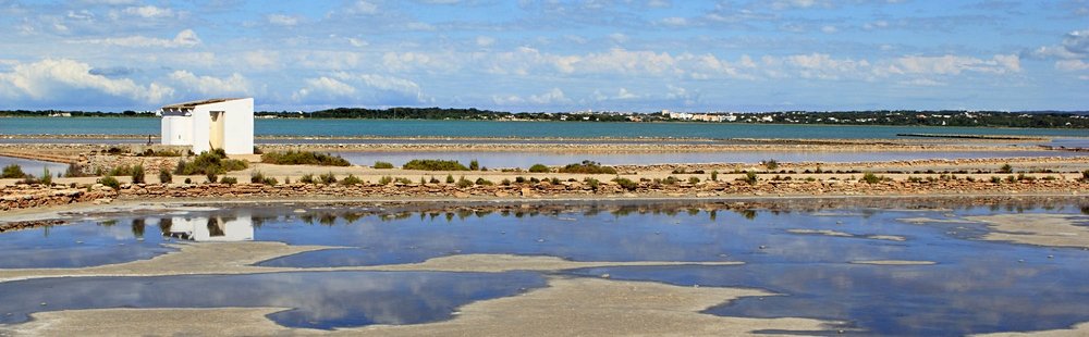 Platja de ses Salines (Migjorn)