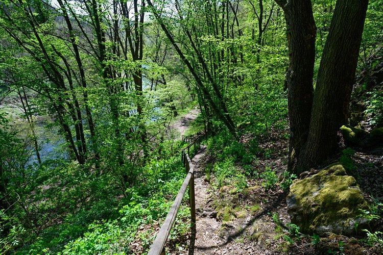 Le Parc National de Thayatal 2