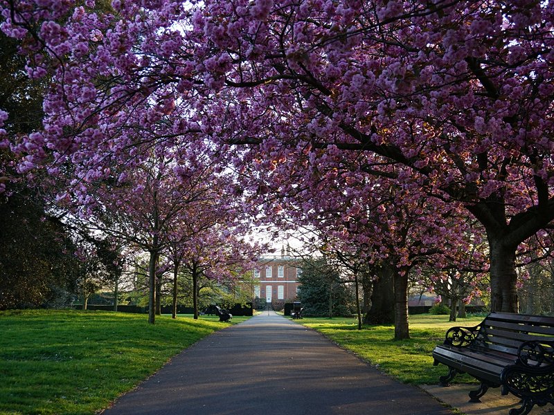Greenwich