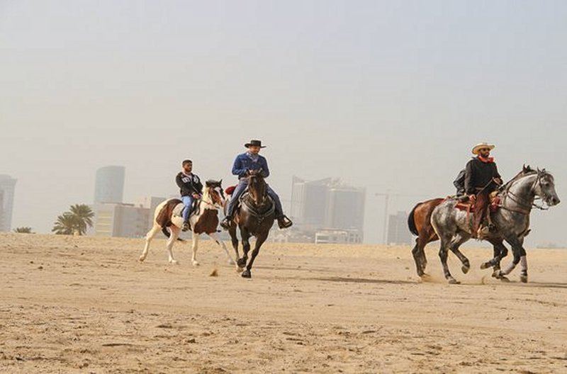 Enfourcher un pur-sang arabe pour la balade