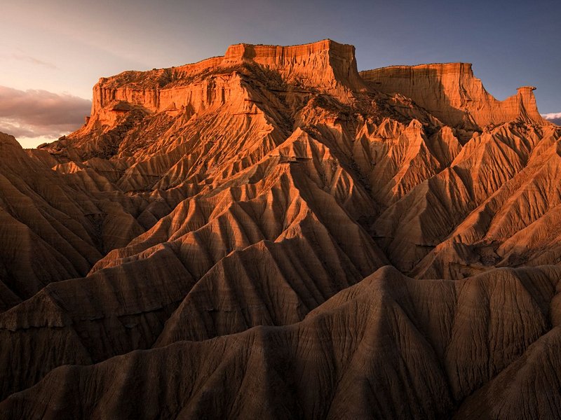 Bárdenas Reales