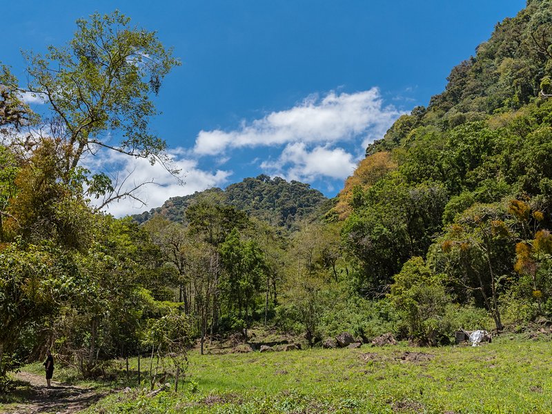 Parc national du Volcan Baru