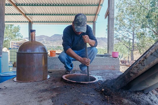 Visiter une palenque