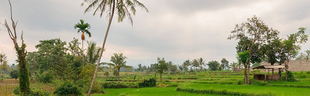 Tetebatu (Lombok)