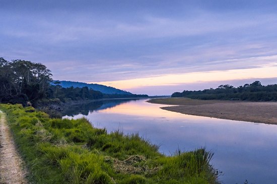 Kaziranga National Park