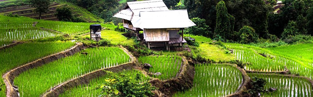Chiang Rai