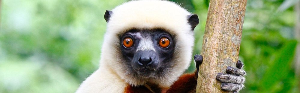 La presqu'île d'Anjajavy