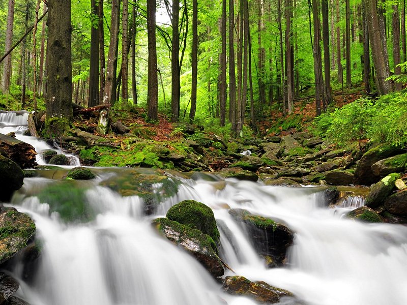 Parc national de Sumava
