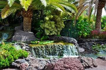 Jardin botanique de Fuerteventura