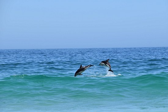 Camps Bay
