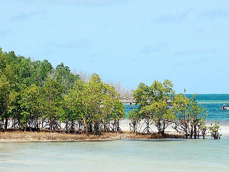 Funzi island