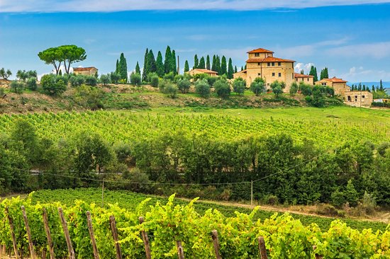 Vallée de Chianti
