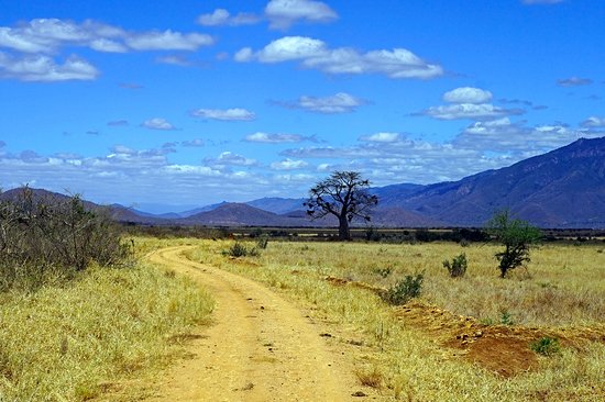 Parc national de Mkomazi