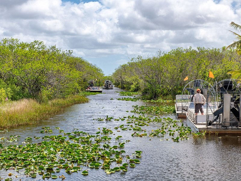 Everglades et Big Cypress