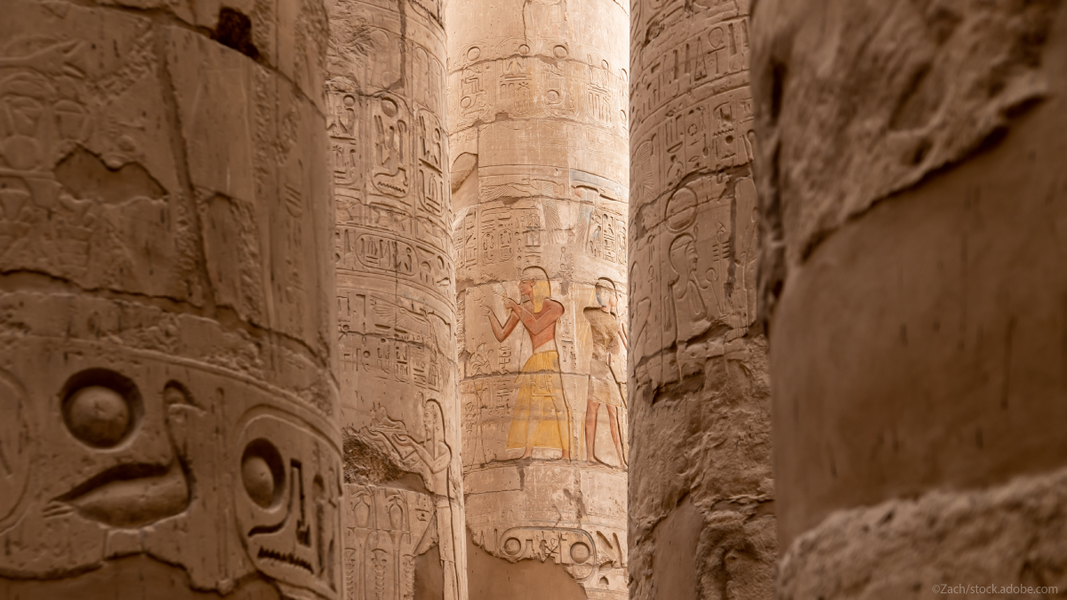 Equipe Terres Égyptiennes