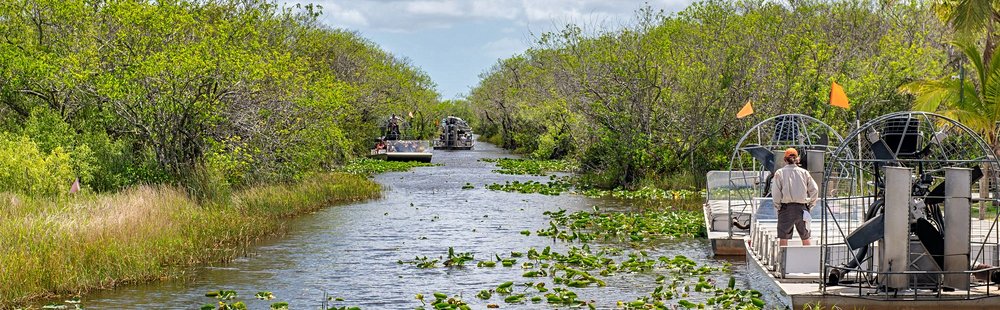 Everglades et Big Cypress