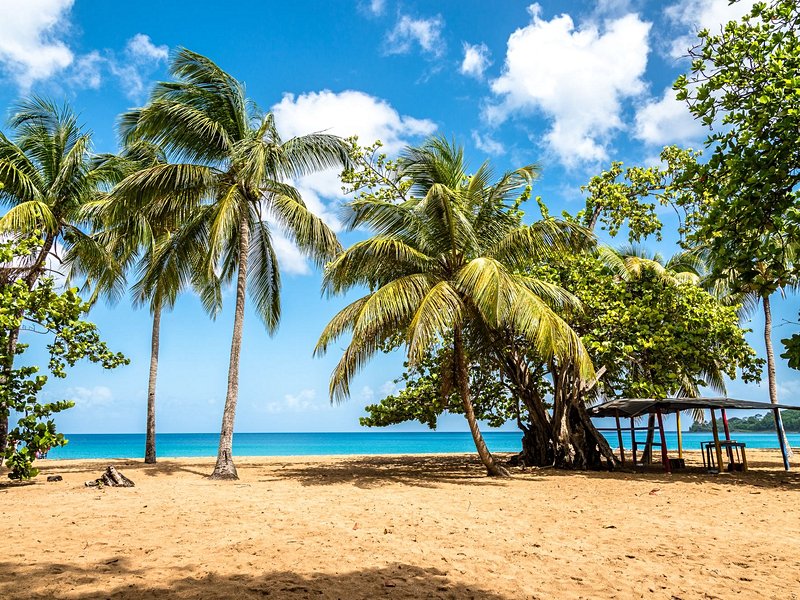 La plage de Grande-Anse