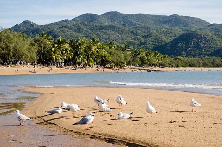 Magnetic Island