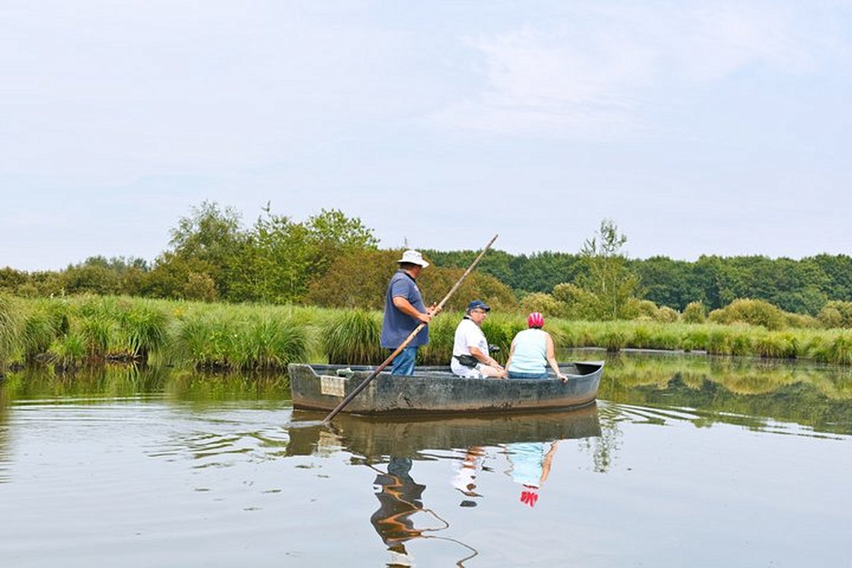 Se balader en chaland dans le marais de Brière 