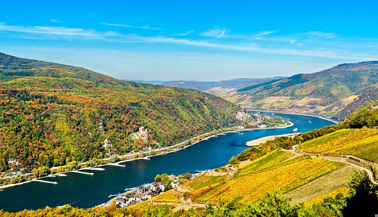 La rando romantique : le méandre de l’or du Rhin