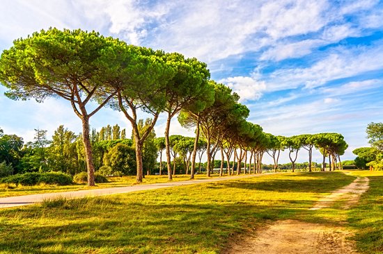 Parco Regionale Migliarino San Rossore