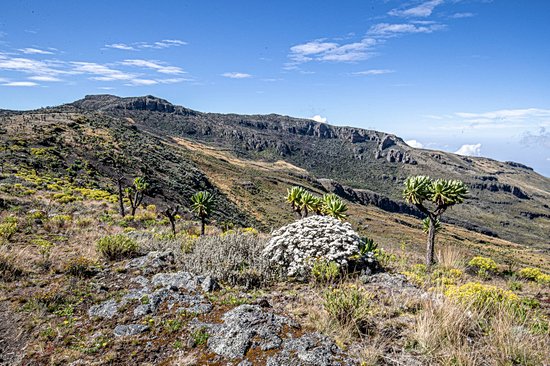 Mont Elgon